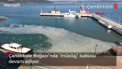 Çanakkale Boğazı'nda 'müsilaj' kabusu devam ediyor