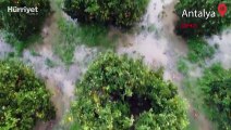 Burdur'da dere suyu taştı, bazı evler su altında kaldı! Antalya'da son 3 yılın yağış rekoru kırıldı