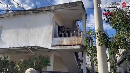 Osmaniye’de özel harekat ve dronlu uyuşturucu operasyonu