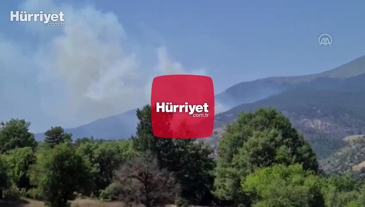 Kütahya'nın Emet ilçesinde orman yangını