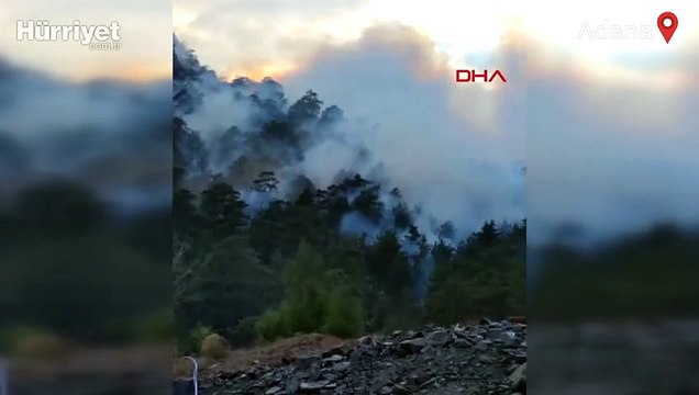 Adana Aladağ'da orman yangını