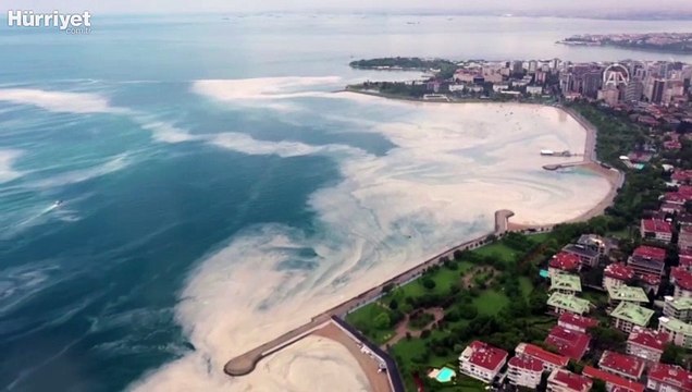 Caddebostan Sahili'nde müsilaj yoğunluğu arttı