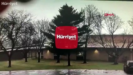 ABD'de okul bahçesinde yıldırım düşen ağaç ikiye ayrıldı