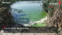 Ankara'da birçok canlıya ev sahipliği yapan Eymir Gölü kirlendi