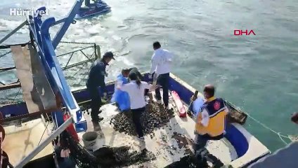 Önce yola yatan, ardından denize atlayan kadın kurtarıldı