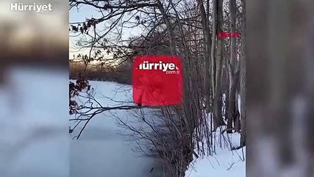 Karma dövüş sanatları (UFC) dövüşçüsü Merab Dvalishvili, kendisini yaralayan 'buzdan' intikam aldı