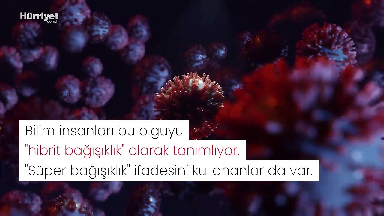 'Süper bağışıklık' hakkında her şey...