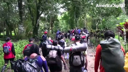 Tapón del Darién: la inhóspita selva que enfrentan miles de migrantes que buscan un mejor futuro