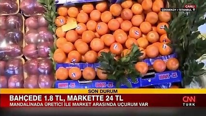 Mandalina bahçede 1.8, markette 24 lira! Fiyat farkının nedeni ne?