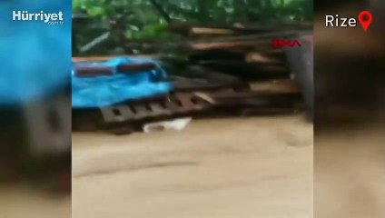 Fındıklı'da sağanak nedeniyle Arılı Deresi taştı! Can pazarı yaşandı...