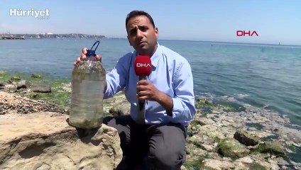 Müsilajı parçalayıp, deniz suyuna oksijen kazandırdık
