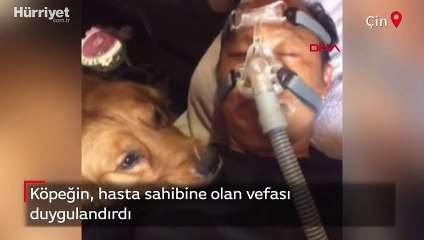 Köpeğin duygulandıran vefası
