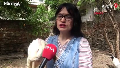 Zulu tavşan Aydın'ın 'Ralph'i oldu