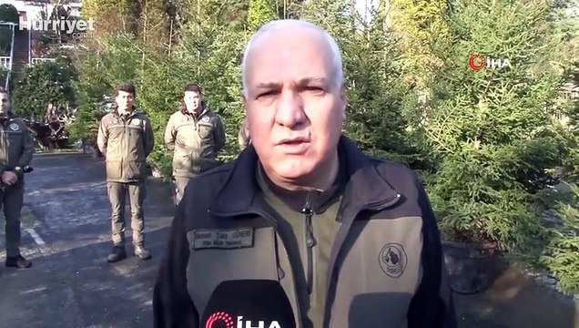 İstanbul'da yılbaşı öncesi kaçak ağaç kesimine yönelik denetim