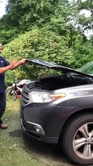 Raccoon Found Hiding Under Car Hood