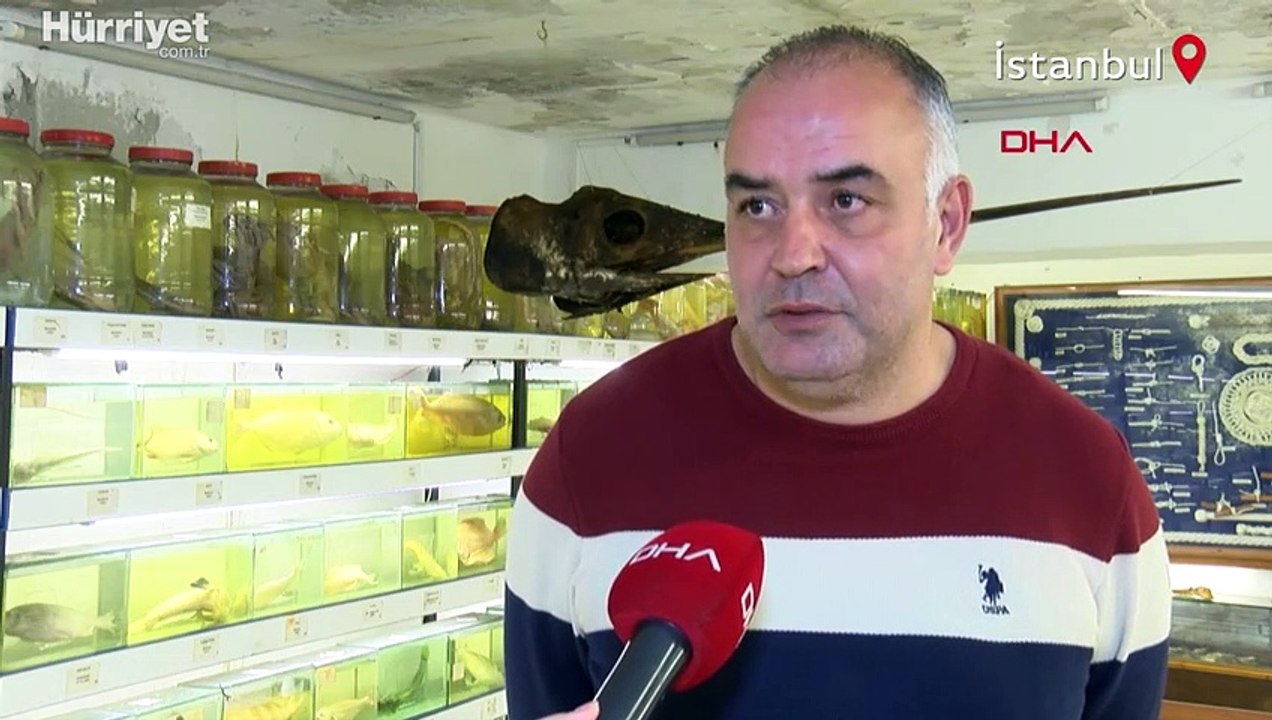 İstanbul'da çok fazla kimsenin bilmediği balık müzesinde 450'den fazla balık türü sergileniyor