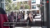 Atıyla daireye çıktı, herkes şaşırdı! İlginç anlar böyle görüntülendi