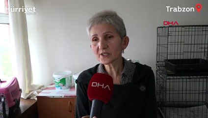 Eşine kızıp kediyi duvara fırlatan kocaya 1500 TL ceza