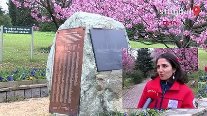 İstanbul'da sakura zamanı