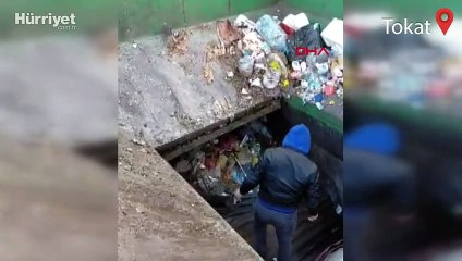 Çöp ayrıştırma makinesine düşen köpeği hayvanseverler kurtardı