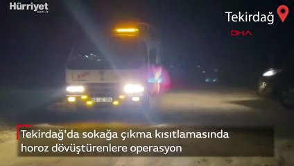 Tekirdağ'da sokağa çıkma kısıtlamasında horoz dövüştürenlere operasyon