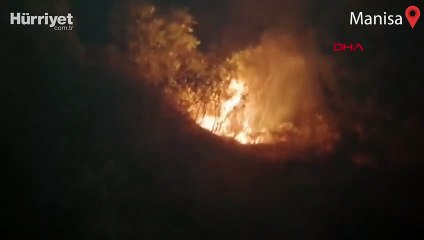 Manisa Soma'daki orman yangını kontrol altında