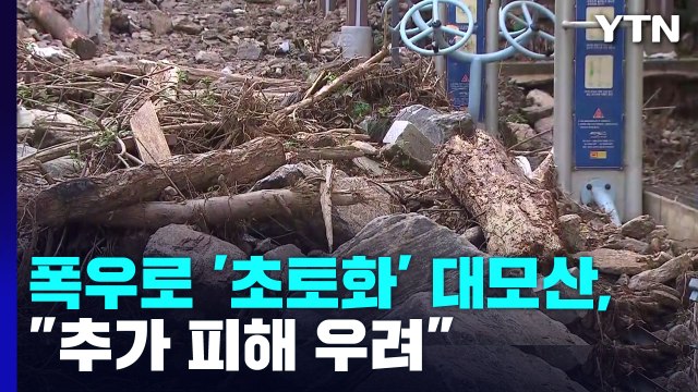 8월 폭우로 '초토화'된 대모산, 두 달째 복구는 '미적'... 산사태 우려 / YTN