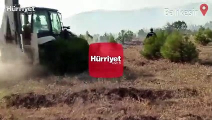 Balıkesir Savaştepe'de orman yangını