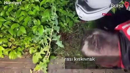 Kilometrelerce kaçış sonrası kıskıvrak yakalandılar