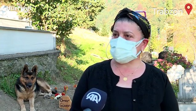 Sahibi vefat eden köpek mezarın başından ayrılmıyor