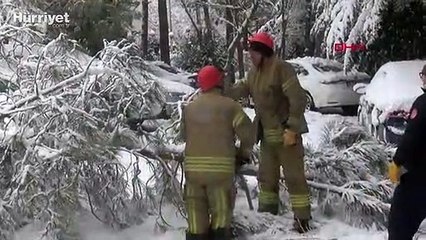 Beşiktaş'ta otomobillerin üzerine devrilen ağaçlar kesildi