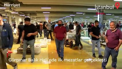 Sezonun açılmasıyla Gürpınar Balık Hali'nde ilk mezatlar gerçekleşti