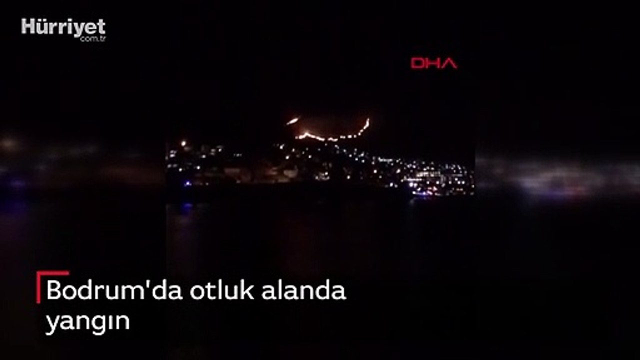Bodrum'da otluk alanda yangın