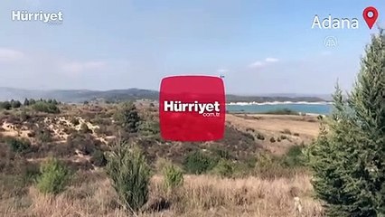 Çukurova ilçesinde çalılık alanda yangın çıktı