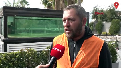Gece kulübündeki köpek balığı, yeni yaşam alanına nakledildi