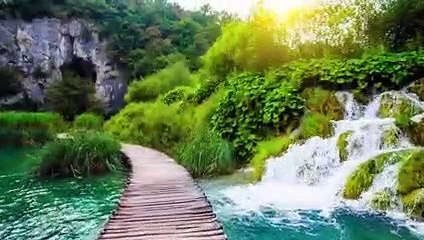 mind relaxation music video