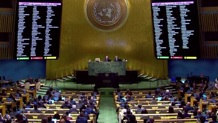 '러시아 영토 병합' 규탄 결의 UN 통과...남북 '찬반 대결' / YTN