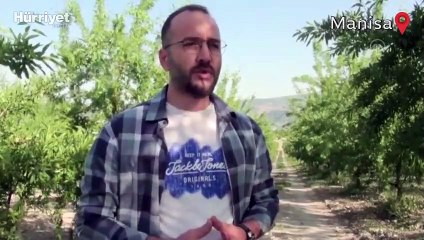 Devlet desteğiyle tarlasına badem fidanı diken üretici ihracata başladı