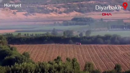 Diyarbakır'da Hevsel Bahçeleri'nde yangın