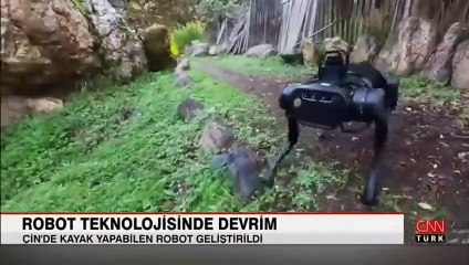 Karın keyfini bu sefer robotlar çıkardı