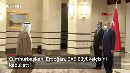 Cumhurbaşkanı Erdoğan, BAE Büyükelçisini kabul etti