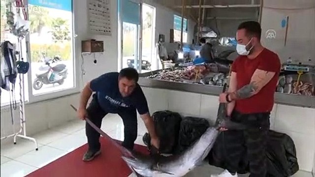 Fethiye açıklarında 80 ve 100 kilogramlık 2 kılıçbalığı oltayla yakalandı