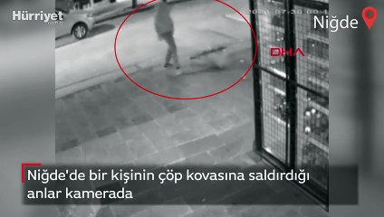 Niğde'de bir kişinin çöp kovasına saldırdığı anlar kamerada