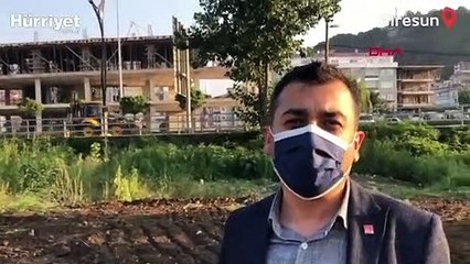 Giresun'da çukurda 10 ölü köpek bulundu