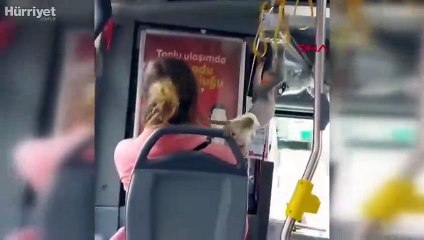 İETT otobüsünün sevimli yolcusu