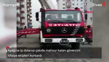 Ayağına ip dolanan güvercini itfaiye kurtardı