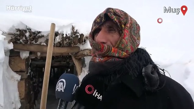 Muş’ta bir köy kara gömüldü, açtıkları tünellerle ulaşımı sağlıyorlar