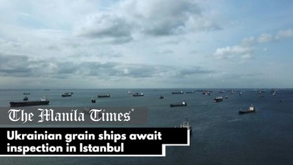 Ukrainian grain ships await inspection in Istanbul