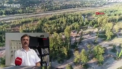 Batı Karadeniz'de dere kenarlarındaki orman depoları endişe yaratıyor