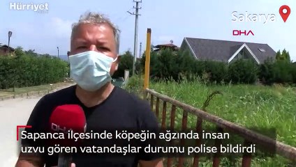 Sapanca ilçesinde köpeğin ağzında insan uzvu gören vatandaşlar durumu polise bildirdi